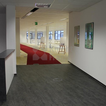Moderne und helle Bürofläche mit flexibler Raumaufteilung