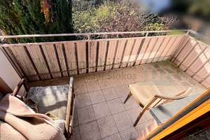 *** Gemütliche Doppelhaushälfte mit großem Garten in Lampertheim *** – Die vollständige Adresse der Immobilie erhältst du vom Anbieter., 68623 Lampertheim – Vorschaubild 19