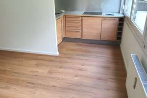Helle 1 Zimmer Wohnung in ruhiger Lage nähe Isar – Entenbachstraße 16, 81541 Untere Au, München – Vorschaubild 4