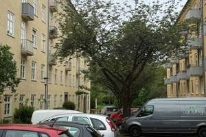 5 Zimmer-Familienwohnung, perfekte Infrastruktur - vor der Haustür die Goetheanlage - urban und grün – Die vollständige Adresse der Immobilie erhältst du vom Anbieter., 34119 West, Kassel – Vorschaubild 16