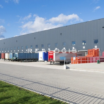 PROVISIONSFREIER NEUBAU: Ca. 40.000 qm Lager / Logistik | Rampe + ebenerdig | ca. 12,00 m UKB