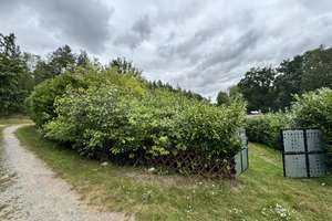 Ferienbungalow im Wald auf Pachtland – Klein Sterblitz 0, 19309 Lenzen (Elbe) – Vorschaubild 21