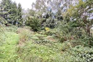 LIEBHABEROBJEKT MIT VERWUNSCHENEM GARTENPARADIES! – 44359 Schwieringhausen, Dortmund – Vorschaubild 9