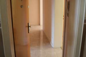 3-Zimmer-Wohnung an der Rheinallee Mainz-Neustadt – attraktive Kapitalanlage