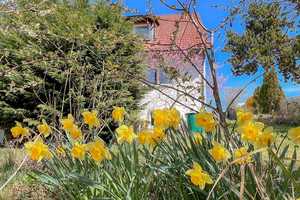 Imposantes Zweifamilienhaus mit Fernblick und weitläufigem Garten – Jägersberg 20, 91480 Neustadt a.d. Aisch-Bad Windsheim (Kreis) – Vorschaubild 29