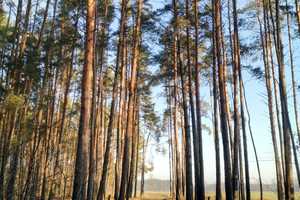 Stilvoll Leben umgeben von Wald, Feld und Wasser-ein einzigartiges Haus am Voßkanal – Oberhavel (Kreis) – Vorschaubild 27