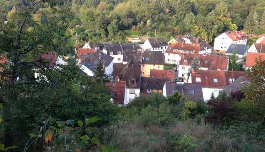Bild von Total-Sanierung oder Neubau in Frauenstein