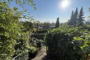 Hier fühlen sich Familien zuhause: Wohnen mit Ausblick und Wohlfühlfaktor! – Hannover (Kreis) – Vorschaubild 2