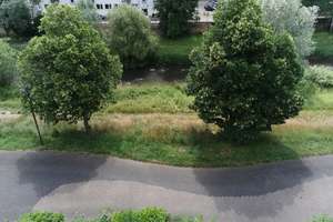 *Am Fluss gelegen*  2-Zi.-Whg. -PF-zentrumsnah – Die vollständige Adresse der Immobilie erhältst du vom Anbieter., 75173 Südweststadt, Pforzheim – Vorschaubild 5