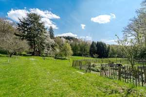 Landhaus in Alleinlage im Taunus - Idylle pur - separates Gästehaus, nur 40 Min. bis Frankfurt – Die vollständige Adresse der Immobilie erhältst du vom Anbieter., 61279 Grävenwiesbach – Vorschaubild 27