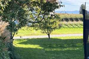 über 400 m² Nfl. - Wohnhaus mit ELW auf ca. 1.450 m² Grund – Rosenheim (Kreis) – Vorschaubild 3