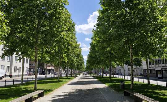Objekt mit positivem Bauvorbescheid für Wohnen!
