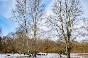 Property thumbnail 19