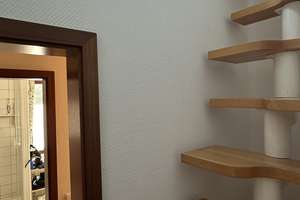 Property thumbnail 16