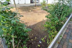 Energieeffiziente 2-Zimmer-Erdgeschosswohnung mit Garten in Düsseldorf-Heerdt – 40549 Heerdt, Düsseldorf – Vorschaubild 16