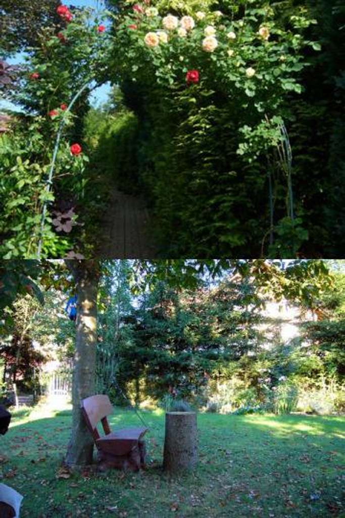 Immobilie in Osterode - Schönes großes Wohnhaus in schöner Lage - Bild 1