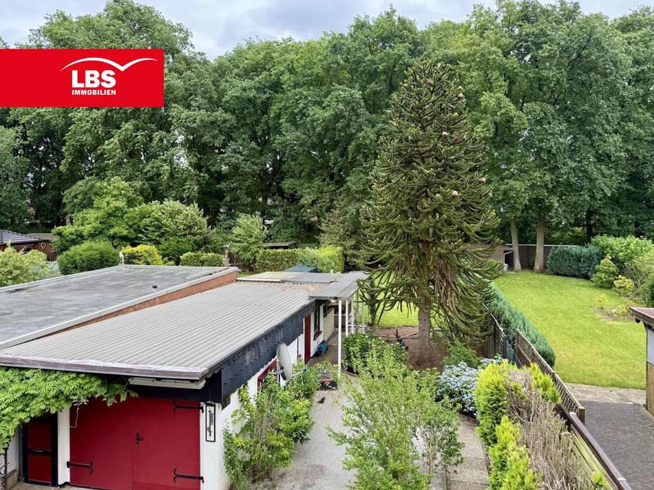 Blick in den Garten