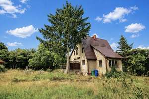Bezugsfrei! Großes Einfamilienhaus mit enormen Potenzial auf weitläufigen Grundstück! – Die vollständige Adresse der Immobilie erhältst du vom Anbieter., 15738 Zeuthen – Vorschaubild 6