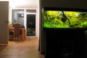 Moderne 3-Zimmer Wohnung mit atemberaubendem Panoramablick  – Riesstraße 82, 80993 Alt-Moosach, München – Vorschaubild 2