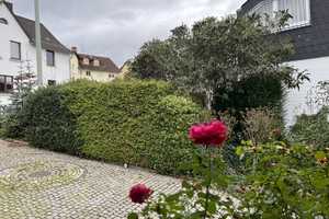 Rheingau - Freistehendes Einfamilienhaus - – Rheingau-Taunus-Kreis – Vorschaubild 11