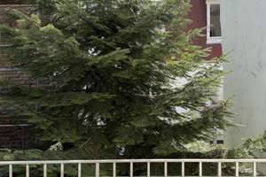 Frisch sanierte 2-Zimmer-Wohnung mit Balkon ab August zu vermieten – Die vollständige Adresse der Immobilie erhältst du vom Anbieter., 68169 Neckarstadt-West, Mannheim – Vorschaubild 2