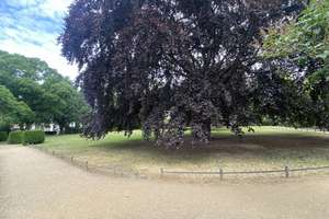 Property thumbnail 14