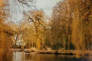 Property thumbnail 15