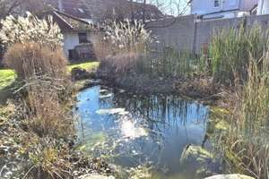 Schöner Wohnen im freistehenden Zweifamilienhaus auf 630 m² Grundstück! – Die vollständige Adresse der Immobilie erhältst du vom Anbieter., 68519 Viernheim – Vorschaubild 7