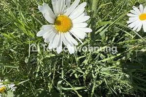 Tauschwohnung: Charlottenburger Juwel, 4 Zimmer, 2 Balkone, Garten, TG