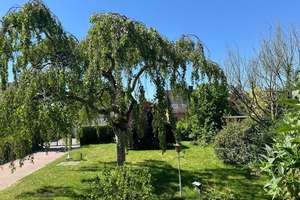 Massives Einfamilienhaus in Toplage von Norderstedt - Harksheide  -saniert, 750 m², provisionsfrei – Die vollständige Adresse der Immobilie erhältst du vom Anbieter., 22844 Norderstedt – Vorschaubild 2