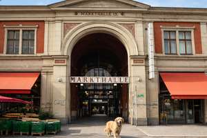 Property thumbnail 12