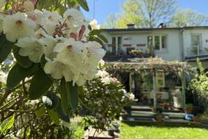 Paradies mit Garten für Liebhaber – Die vollständige Adresse der Immobilie erhältst du vom Anbieter., 22305 Barmbek-Nord, Hamburg – Vorschaubild 2