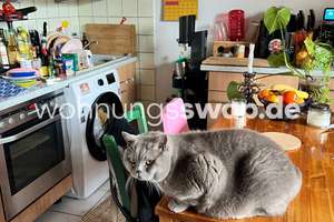 Wohnungstausch: Mauenheimer Straße 126 – Mauenheimer Straße 126, 50400 Nippes (Ortsteil), Köln – Vorschaubild 2