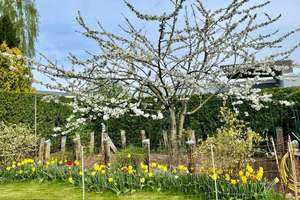 Property thumbnail 17