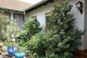 Ruhig gelegenes Einfamilienhaus - großes Grundstück, Innenhof, Traumgarten und Erweiterungspotenzial – Die vollständige Adresse der Immobilie erhältst du vom Anbieter., 69123 Pfaffengrund, Heidelberg – Vorschaubild 7