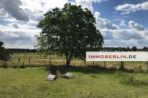 IMMOBERLIN.DE - Wunderbares Einfamilienhaus mit 2 Ferienwohnungen, Nebengebäude & Ausbaupotenzial – Die vollständige Adresse der Immobilie erhältst du vom Anbieter., 17252 Mirow – Vorschaubild 5