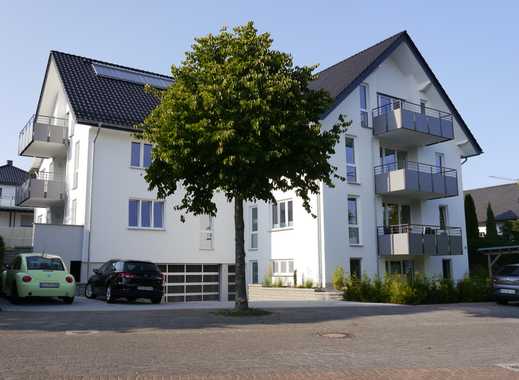 Single wohnung brilon