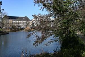 Kompakt, cool, Carlstadt – Mehr Lage geht nicht – Die vollständige Adresse der Immobilie erhältst du vom Anbieter., 40213 Carlstadt, Düsseldorf – Vorschaubild 13