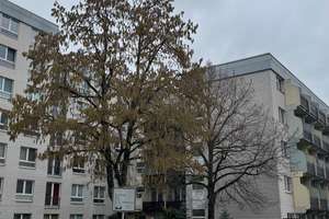 Möbliertes 1-Zimmer-Apartment in Mainz inkl. Balkon & Garage – Richard-Schirrmann-Straße 16, 55122 Hartenberg-Münchfeld, Mainz – Vorschaubild 14