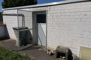 3-Zimmer-Wohnung in Salzgitter – 38239 Bleckenstedt, Salzgitter – Vorschaubild 17