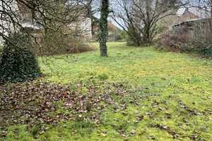 Einfamilienhaus mit riesigem Grundstück, Baulandpotenzial in Seeheim-Jugenheim / Ortsteil Seeheim – Sandstraße 23, 64342 Darmstadt-Dieburg (Kreis) – Vorschaubild 4