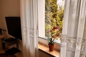 ATTRAKTIVE 2-ZIMMER-ETW MIT XXL-TERRASSE & GARTEN / WBN.-KOHLHECK – Paul-Gerhardt-Straße 31, 65197 Dotzheim, Wiesbaden – Vorschaubild 24