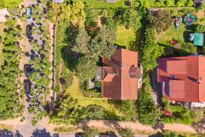 Villenflair, Cottage-Garten und Bestlage im Paulusviertel – Die vollständige Adresse der Immobilie erhältst du vom Anbieter., 64285 Bessungen, Darmstadt – Vorschaubild 21