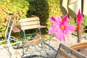 1 Zi.-Balkon-Whg. bei Luitpoldpark, Herzogstraße und Bonner Platz in Schwabing, renovierungsbereit – Die vollständige Adresse der Immobilie erhältst du vom Anbieter., 80796 Am Luitpoldpark, München – Vorschaubild 16
