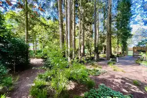 Großes Familienhaus mit Garten u. eigenem Wald – Cuxhaven (Kreis) – Vorschaubild 16