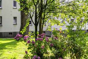Erste eigene Bude – Otto-Brenner-Str. 47, 45355 Borbeck-Mitte, Essen – Vorschaubild 22