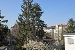 Über den Dächern von Cannstatt