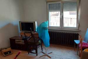 Haus am See von privat – Burgkühnauer Straße 19, 6846 Dessau-Roßlau – Vorschaubild 13