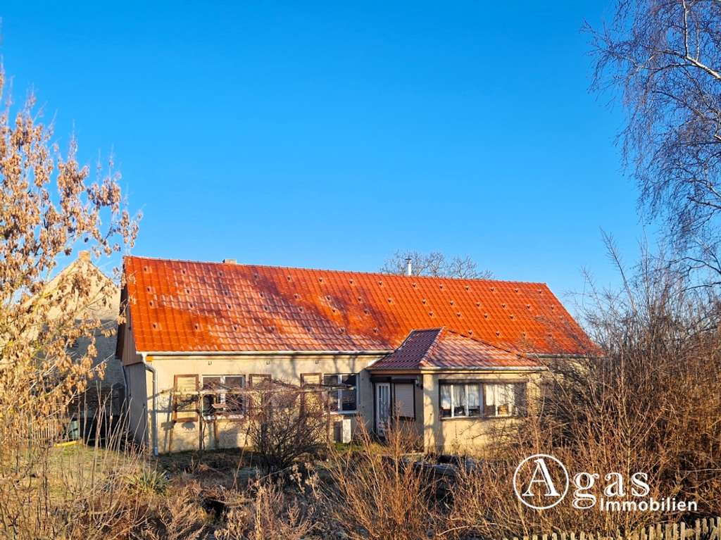 Immobilie in Küstriner Vorland - Modernisiertes Landhaus mit Scheune und Nebengebäuden auf fast 2 Hektar großem Grundstück - Bild 0