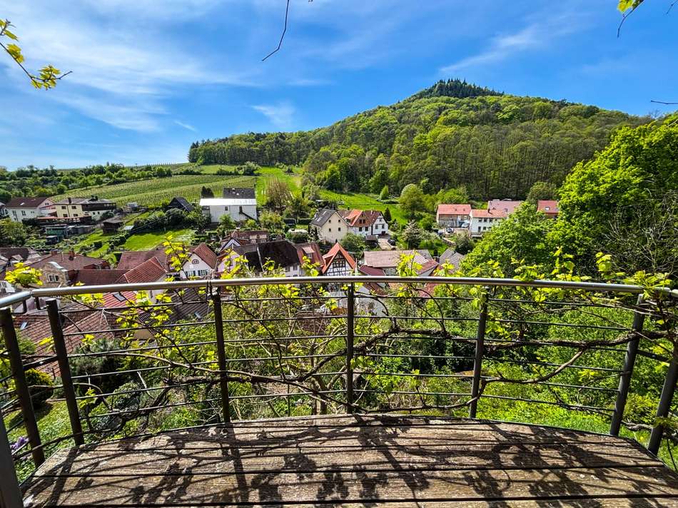 EG_Balkon_Ausblick